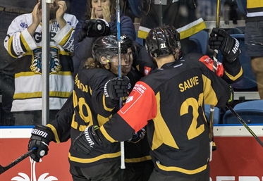 Panthers revel in CHL buzz